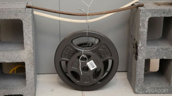 В США в продажу поступила «супердревесина» — в строительстве она заменит сталь